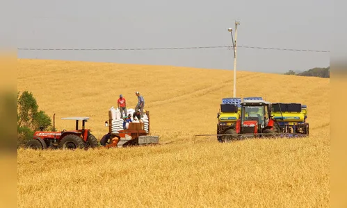 Boletim agropecuário ressalta início do plantio da soja no Paraná