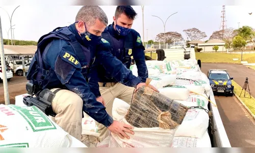 PRF apreende 3,5 toneladas de maconha no Paraná