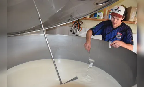 Preço do leite pago  ao produtor registra alta