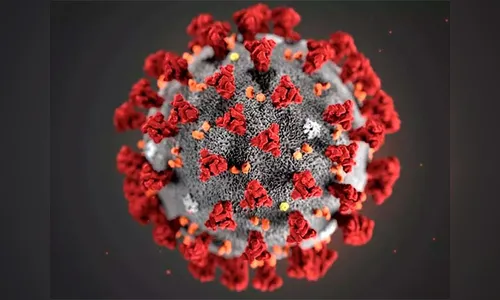 Saúde informa 1.249 casos novos e 22 mortes pela Covid-19 no Paraná