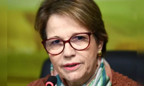 Tereza Cristina: preços do arroz voltarão a se equilibrar em janeiro com safra