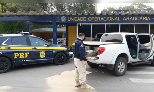 PRF apreende 685 quilos de maconha e recupera caminhonete roubada