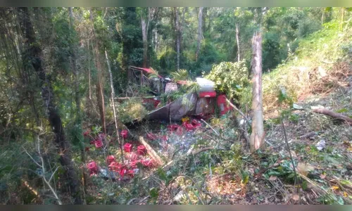 Caminhão que transportava refrigerante tomba em Londrina