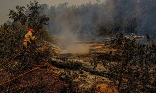 Incêndios levam Mato Grosso do Sul a decretar situação de emergência