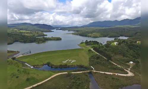 Webinário vai discutir a importância da água e da floresta