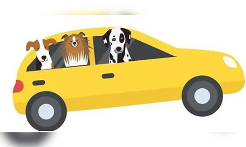 Bênção de Animais drive thru será realizada em Apucarana