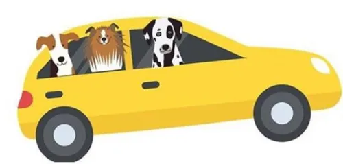 Bênção de Animais drive thru será realizada em Apucarana