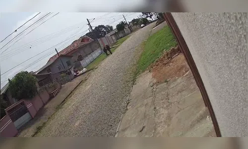 Papagaio 'ataca' ladrão durante assalto a idosos em Ponta Grossa