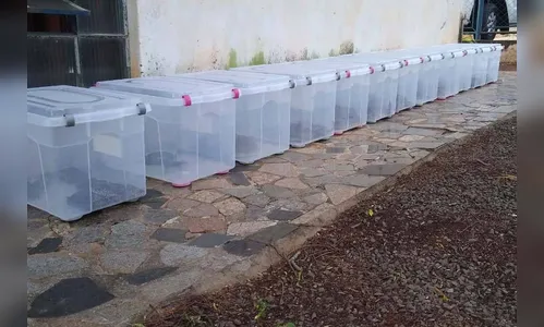 Polícia ambiental prendeu 231 pessoas e resgatou mais de 2 mil aves