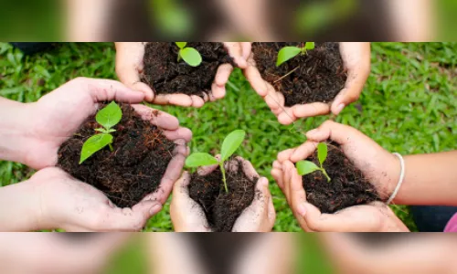 Aeroporto de Foz do Iguaçu recebe o plantio de 10 mil mudas nativas
