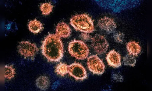 Londrina registra mais quatro óbitos e 132 novos casos de Covid-19