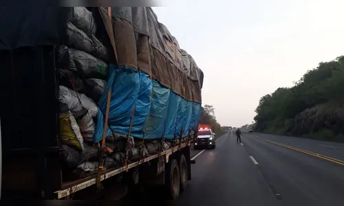 PM aplica multa de R$47 mil por transporte irregular de carvão em Arapongas