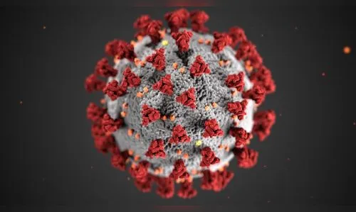 Maringá passa três dias sem registro de mortes por Covid