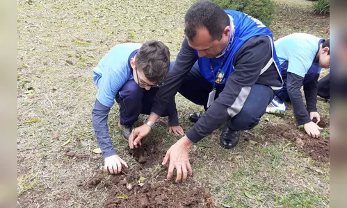 Dia da Árvore terá plantio de 550 mil mudas em todo Estado