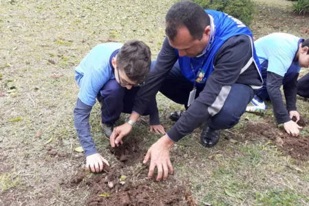 Dia da Árvore terá plantio de 550 mil mudas em todo Estado