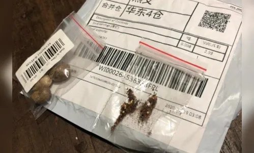 Moradora de Mauá da Serra recebe sementes misteriosas da China