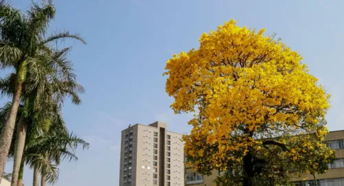 Primavera começa ensolarada em quase todo o Paraná