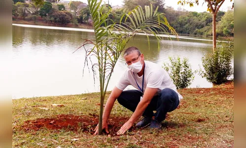 Plantio de mudas marca Dia da Árvore em Apucarana