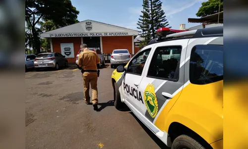 Ladrão invade casa em Apucarana e agride mulher que estava nua no banheiro