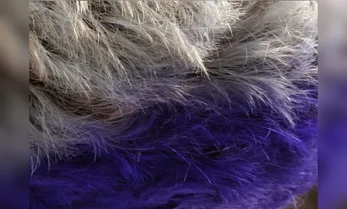 IML tenta identificar corpo de homem que morreu em confronto com a polícia