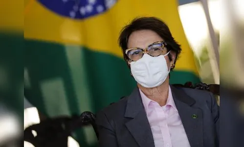 Tereza Cristina: arroz encareceu no mundo todo, não só no Brasil