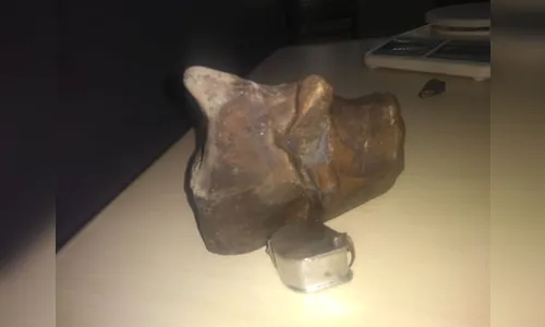Meteorito que caiu em Curitiba em 1977 ajudará a entender origem do Sistema Solar