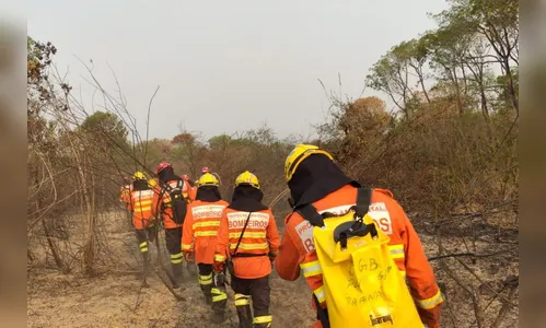 Bombeiros paranaenses estão há 10 dias no Pantanal