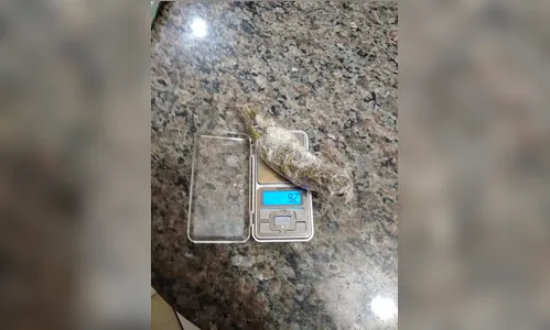 Menor é apreendido com maconha e R$ 650 pela PM Apucarana