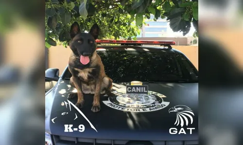 GM apreende menor por tráfico de drogas em Arapongas