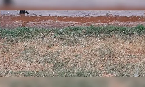 Chuva de granizo atinge Apucarana neste domingo; assista