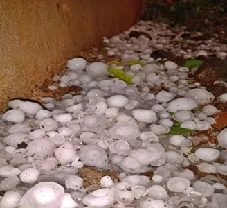 Chuva de granizo derruba árvores e provoca até acidente em Borrazópolis