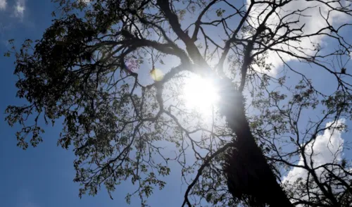 Onda de calor com temperaturas acima de 40ºC deve atingir o Paraná