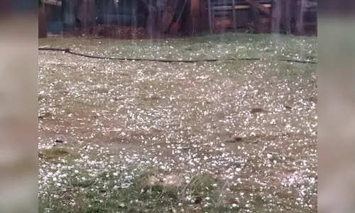 Temporal afeta 2,3 mil pessoas no Paraná, aponta Defesa Civil