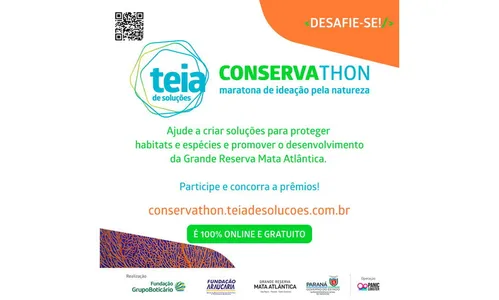 Evento desafia criatividade em soluções para a proteção da Mata Atlântica