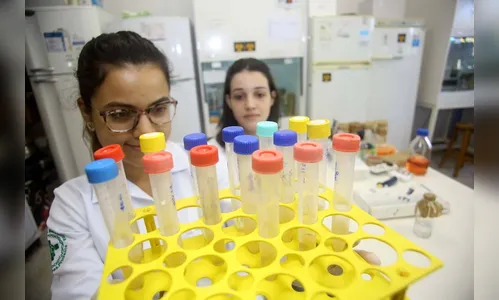 Paraná autoriza aulas presenciais dos últimos anos de cursos da Saúde