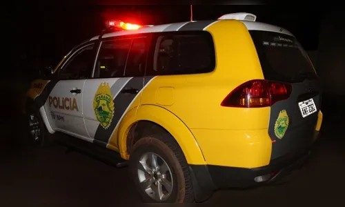 Homem furta carro e xinga policiais em Jandaia do Sul