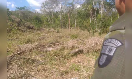 Multas por crimes ambientais somam R$ 2,5 milhões em oito dias