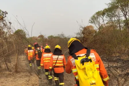 Bombeiros do Paraná ajudam a enfrentar queimadas no Pantanal