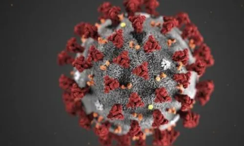 Ivaiporã registra 12 novos casos de Covid-19 e um óbito nesta quinta-feira