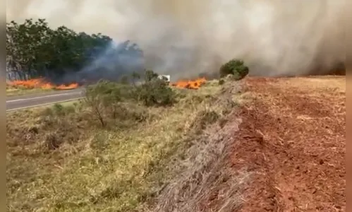 Trabalhador morre carbonizado no meio de canavial