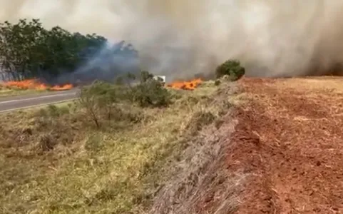 Trabalhador morre carbonizado no meio de canavial