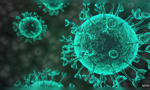 França tem o maior número de novos casos desde início da pandemia