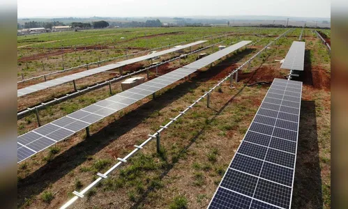 Primeira usina solar da Copel está na fase final de construção