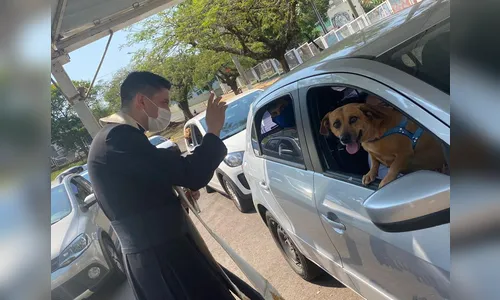 Celebração realizada em Apucarana abençoa cerca de 700 animais