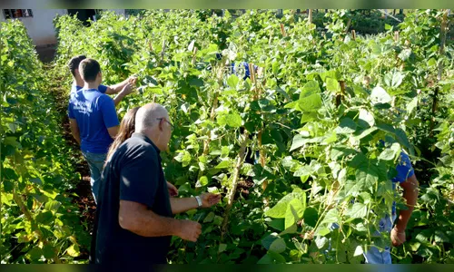 Cursos técnicos são mais afetados pela pandemia