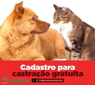 Cadastro para mutirão de castrações acontece no sábado