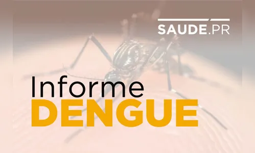 Paraná registra 2 óbitos e 741 casos de dengue em dois meses