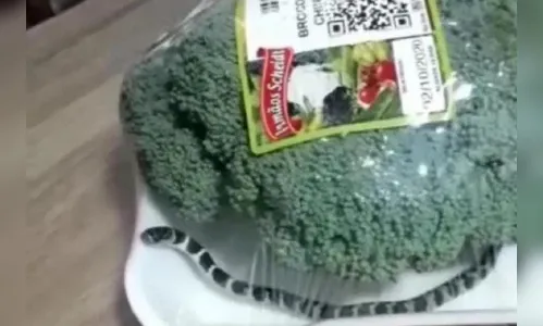 Mulher encontra serpente em embalagem de brócolis; Assista