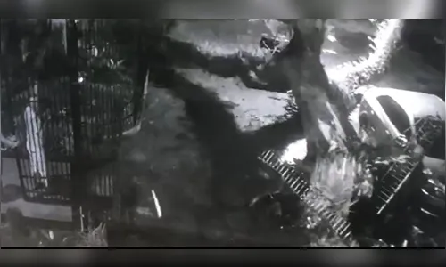 Idoso quase é atingido por árvore enquanto caminhava em Maringá; Assista