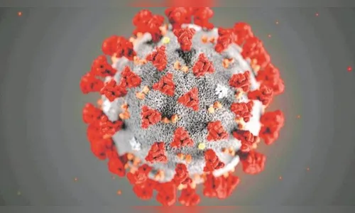 OMS relata aumento diário recorde de casos do novo coronavírus